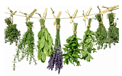Plantas de parásitos