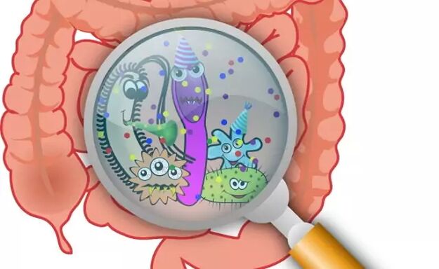Parásitos en los intestinos