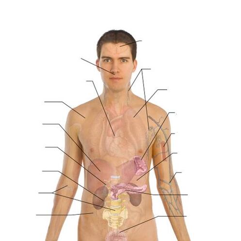 signos de la presencia de parásitos en varios órganos